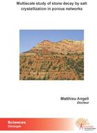 Couverture du livre « Multiscale study of stone decay by salt crystallization in porous networks » de Matthieu Angeli aux éditions Edilivre