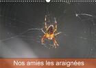 Couverture du livre « Nos amies les araignées (Calendrier mural 2020 DIN A3 horizontal) ; Le monde des araignées et des insectes (Calendrier mensuel, 14 Pages ) » de Martine Julien aux éditions Calvendo