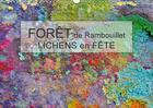 Couverture du livre « Foret de rambouillet lichens en fete calendrier mural 2018 d - dans la foret de rambouillet g » de Bohin J aux éditions Calvendo