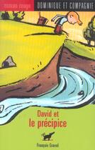 Couverture du livre « David et le précipice » de Pierre Pratt et Francois Gravel aux éditions Dominique Et Compagnie