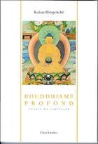 Couverture du livre « Bouddhisme profond » de Rimpoche Kalou aux éditions Claire Lumiere