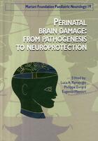 Couverture du livre « Perinatal brain damage ; from pathogenesis to neuroprotection » de Philippe Evrard aux éditions John Libbey