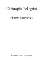 Couverture du livre « Heurts coupables » de Christophe Pellegrini aux éditions Les Editions Des Tourments