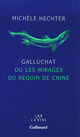 Couverture du livre « Galluchat ou les mirages du requin de chine » de Michele Hechter aux éditions Gallimard (patrimoine Numerise)