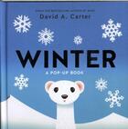 Couverture du livre « WINTER - A POP UP BOOK » de David Carter aux éditions Abrams Us