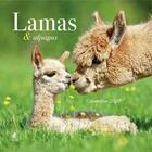 Couverture du livre « Calendrier lamas (édition 2020) » de  aux éditions Place Des Victoires