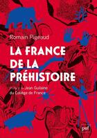 Couverture du livre « La France de la Préhistoire » de Romain Pigeaud aux éditions Puf