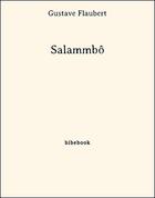 Couverture du livre « Salammbô » de Gustave Flaubert aux éditions Bibebook