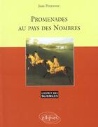Couverture du livre « Promenades au pays des nombres » de Jean Pezennec aux éditions Ellipses