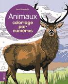 Couverture du livre « Coloriage par numéros : animaux » de David Woodroffe aux éditions Bravo