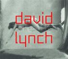 Couverture du livre « David lynch raum bilder klang /allemand » de Werner Spies aux éditions Hatje Cantz