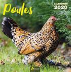 Couverture du livre « Calendrier poules (2020) » de  aux éditions Artemis