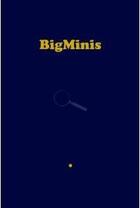 Couverture du livre « Bigminis - fetiches de crise » de Alexis Vaillant aux éditions Sternberg Press