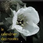 Couverture du livre « Le calendrier des rosees calendrier mural 2020 300 300 mm square - photos d une annee de gouttes » de Yaffee David aux éditions Calvendo