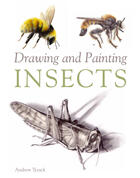 Couverture du livre « Drawing and Painting Insects » de Tyzack Andrew aux éditions Crowood Press Digital