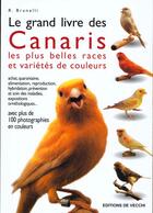 Couverture du livre « Guide des canaris de couleurs » de Brunelli aux éditions De Vecchi