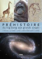 Couverture du livre « Préhistoire ; du big bang au grands singes » de Jean-Marc Perino aux éditions Msm
