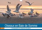 Couverture du livre « Les oiseaux de la baie de somm » de Bouilland Steph aux éditions Calvendo