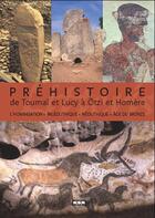 Couverture du livre « Préhistoire ; de Toumai à Otzi et Homère » de Jean-Marc Perino aux éditions Msm