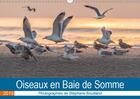 Couverture du livre « Les oiseaux de la baie de somm » de Bouilland Steph aux éditions Calvendo