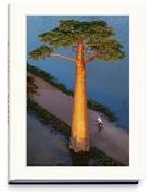 Couverture du livre « Baobab ; l'arbre magique » de Pascal Maitre aux éditions Lammerhuber