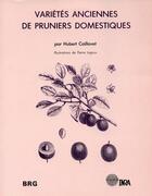 Couverture du livre « Variétés anciennes de pruniers domestiques » de Hubert Caillavet aux éditions Quae