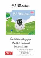 Couverture du livre « Fichier Ms Be Mouton » de B Carboneill aux éditions Pemf