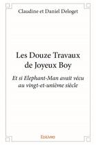 Couverture du livre « Les douze travaux de joyeux boy » de Claudine Et Daniel D aux éditions Edilivre