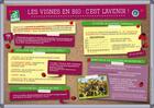 Couverture du livre « Les vignes en bio : c'est l'avenir ! » de Jean-Marie Morin et Francois Mathey aux éditions Educagri