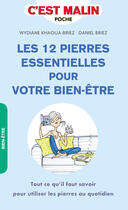 Couverture du livre « C'est malin grand format ; les 12 pierres essentielles pour votre bien-être, c'est malin ; tout ce qu'il faut savoir pour utiliser les pierres au quotidien » de Daniel Briez et Wydiane Khaoua-Briez aux éditions Editions Leduc.s