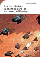 Couverture du livre « Les improbables rencontres dans les carrières de Bibémus » de Jonathan Sasca aux éditions Publibook