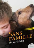 Couverture du livre « Sans famille » de Hector Malot aux éditions Culture Commune