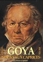 Couverture du livre « Nouveaux caprices de Goya ; les oubliés de Bordeaux » de Jacques Fauque aux éditions Dossiers D'aquitaine