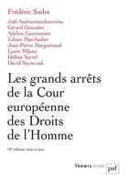 Couverture du livre « Les grands arrets de la Cour européenne des Droits de l'Homme (10e édition) » de Frederic Sudre aux éditions Puf