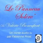 Couverture du livre « Le panneau solère' » de Valerie Bonenfant aux éditions Caracolivres