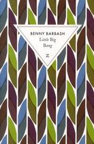 Couverture du livre « Little big bang » de Benny Barbash aux éditions Zulma