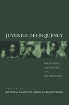 Couverture du livre « Juvenile Delinquency: Prevention, Assessment, and Intervention » de Kirk Heilbrun aux éditions Oxford University Press Usa