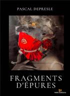 Couverture du livre « Fragments d'épures » de Pascal Depresle aux éditions Hello Editions