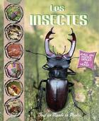 Couverture du livre « Tout un monde en photos ; les insectes » de  aux éditions Piccolia