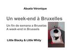 Couverture du livre « Un week end à Bruxelles » de Veronique Abuela aux éditions Books On Demand