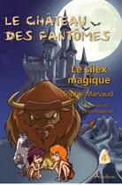 Couverture du livre « Le château des fantômes t.4 ; le silex magique » de Sophie Marvaud aux éditions Adabam