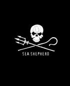 Couverture du livre « Sea shepherd 40 years » de  aux éditions Skira