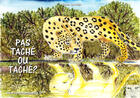 Couverture du livre « Pas taché ou taché ? » de Gisele Larraillet aux éditions Gisele Larraillet