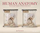 Couverture du livre « Human anatomy stereoscopic images of medical specimens » de Naughten Jim aux éditions Prestel