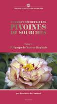 Couverture du livre « Comment découvrir les pivoines de Sourches t.2 : l'Olympe de Nassos Daphnis » de Benedicte De Foucaud aux éditions Le Livre D'art