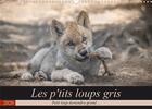 Couverture du livre « Les p tits loups gris calendrier mural 2020 din a3 horizontal - petit loup deviendra grand cal » de Camel Arnaud aux éditions Calvendo