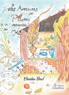 Couverture du livre « Les aventures de Plume ; à la rencontres des mots » de Christine Borel aux éditions Amalthee