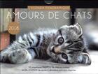 Couverture du livre « Agenda panoramique amours de chats 2018 » de  aux éditions Editions 365