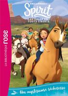 Couverture du livre « Spirit 21 - une mysterieuse secheresse » de Dreamworks aux éditions Hachette Jeunesse