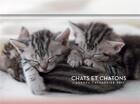 Couverture du livre « L'agenda-calendrier chats & chatons 2017 » de  aux éditions Hugo Image